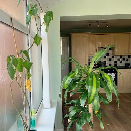 Lovely 2-bed House In Bramley With Field View