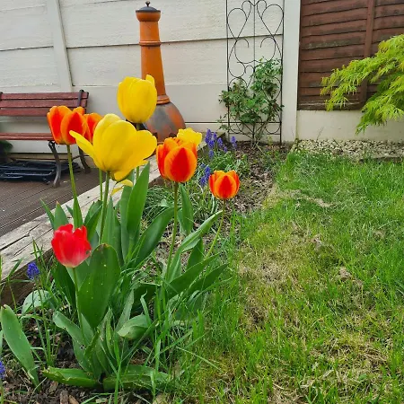 Lovely 2-bed House In Bramley With Field View Leeds (West Yorkshire)
